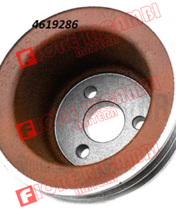4619286  PULEGGIA